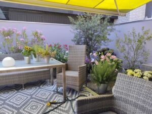 Süd Terrasse