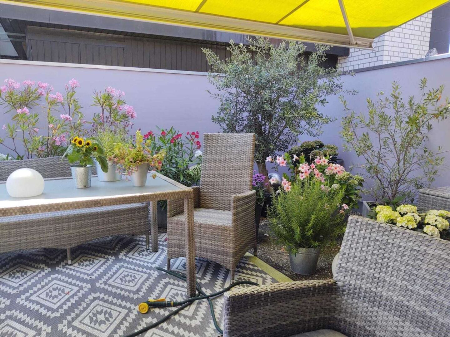 Süd Terrasse