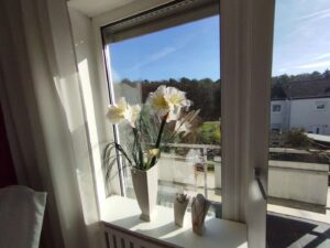 Ausblick
