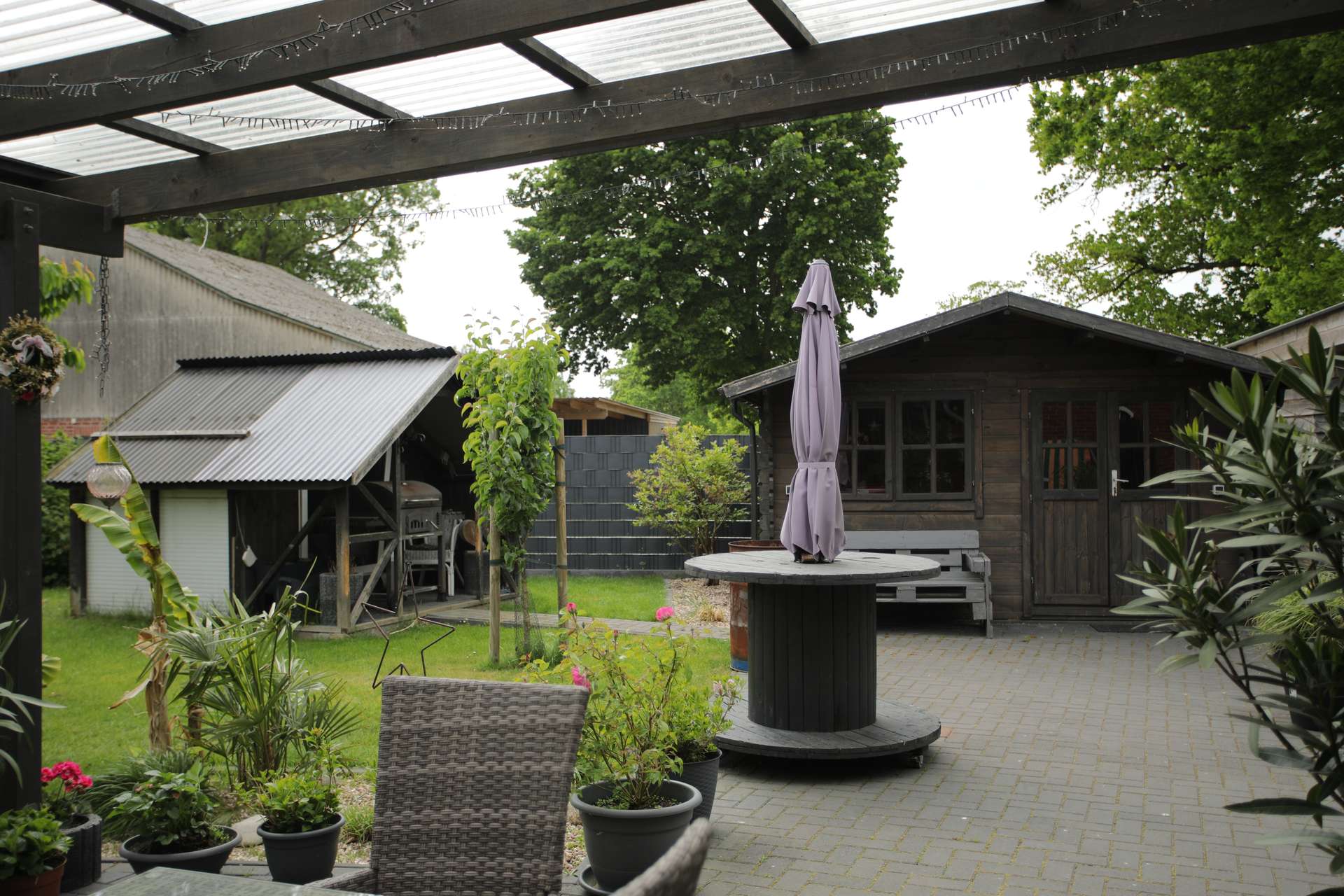 Blick in den Garten