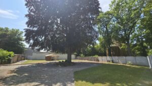 Garten mit Rotbuche