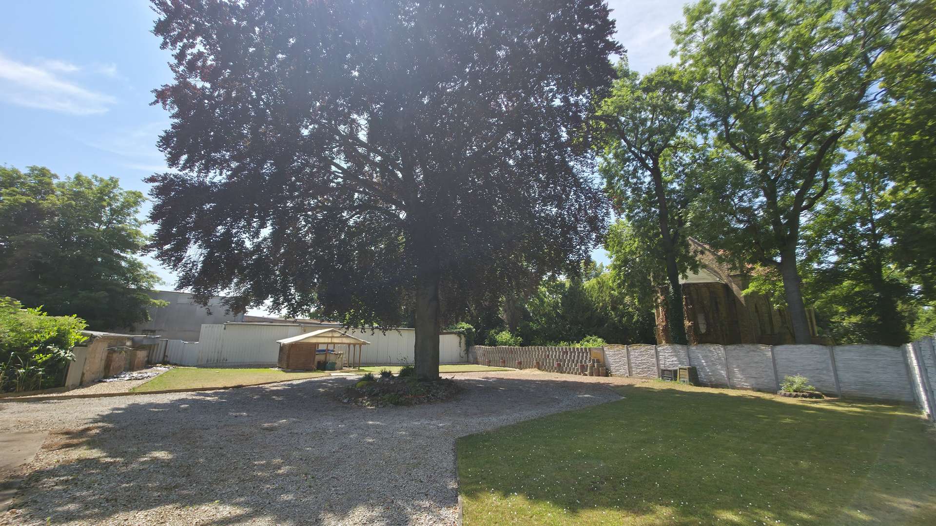 Garten mit Rotbuche