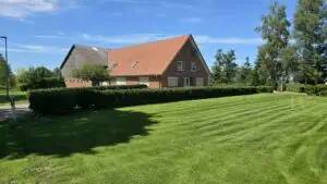 Frontal mit Rasen