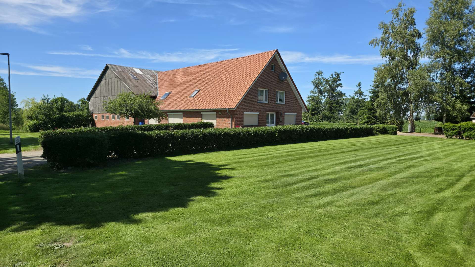 Frontal mit Rasen