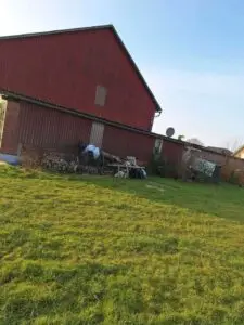 Rück