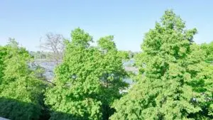 Blick aus Küchenfenster richtung Rhein