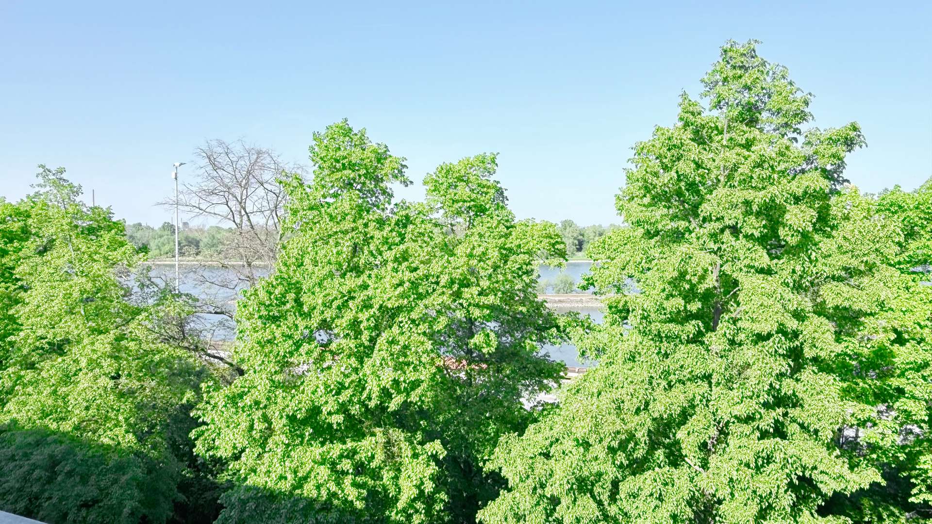 Blick aus Küchenfenster richtung Rhein