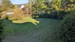 Blick in Garten