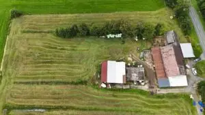 Luftbild1