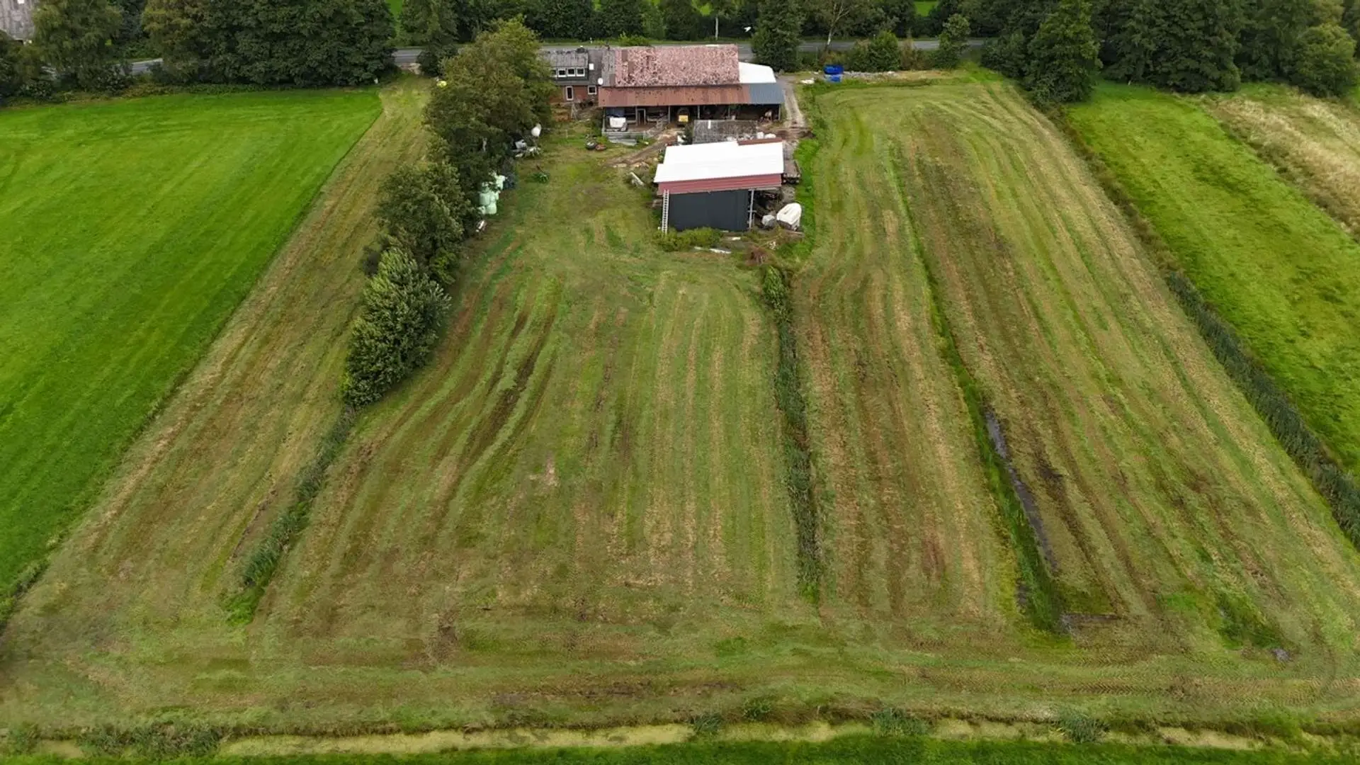 Luftbild2