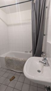 IMG-20250819-WA0012