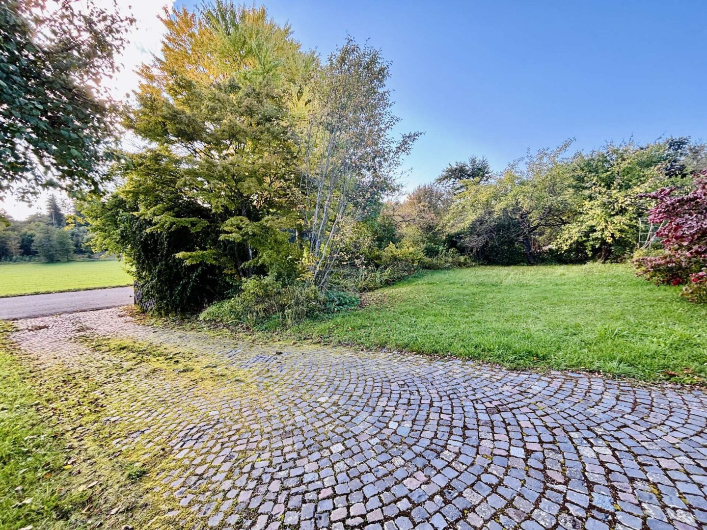 Einfahrt und Garten