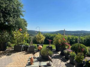Terrasse Blick ins Tal