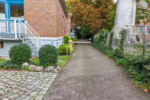 IMG_6561_1
