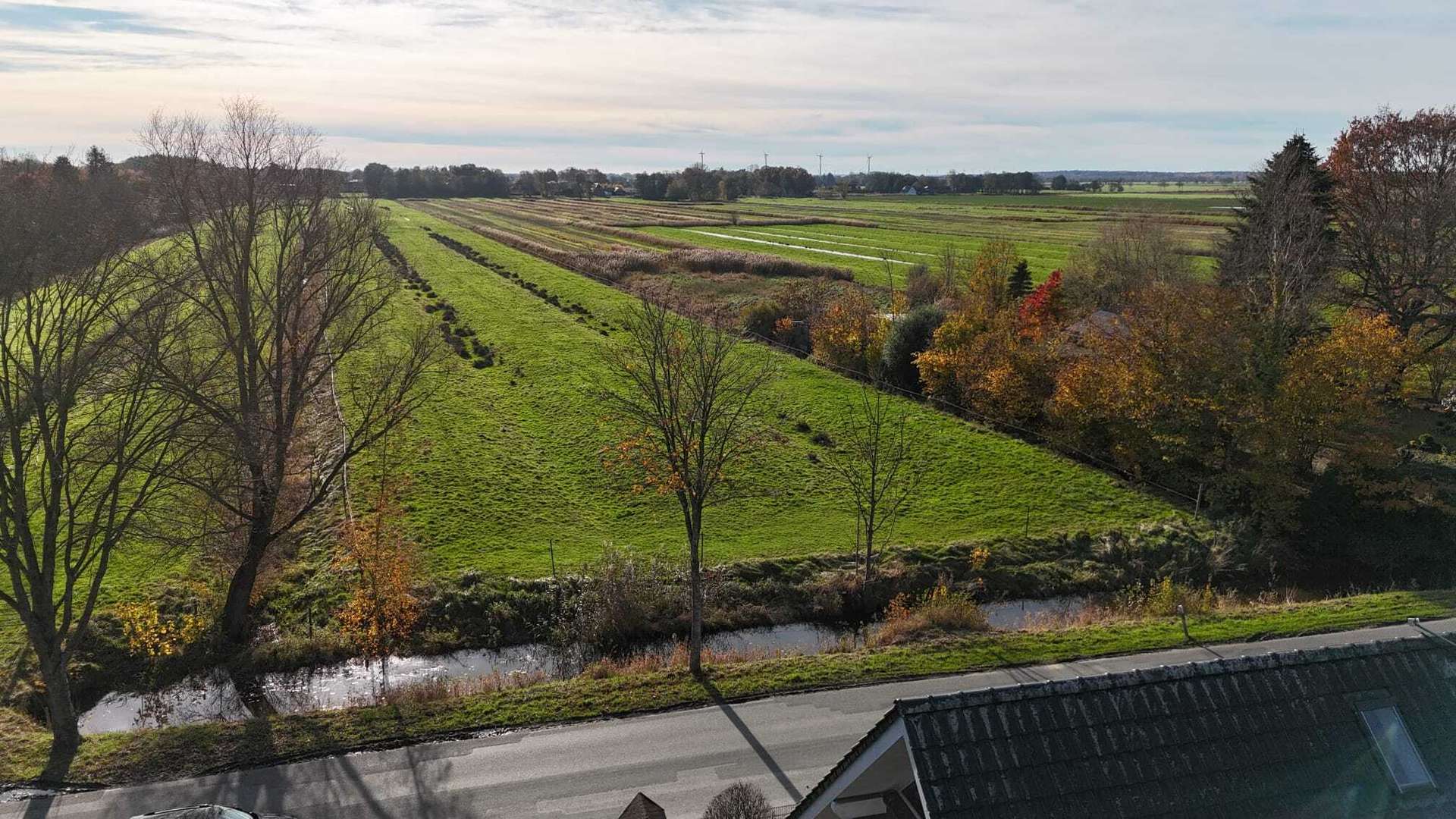 X18 Blick vom Grundstück auf Weiden und Wiesen