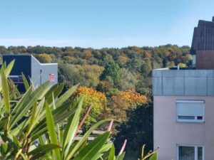 Ausblick auf den Siebentischwald