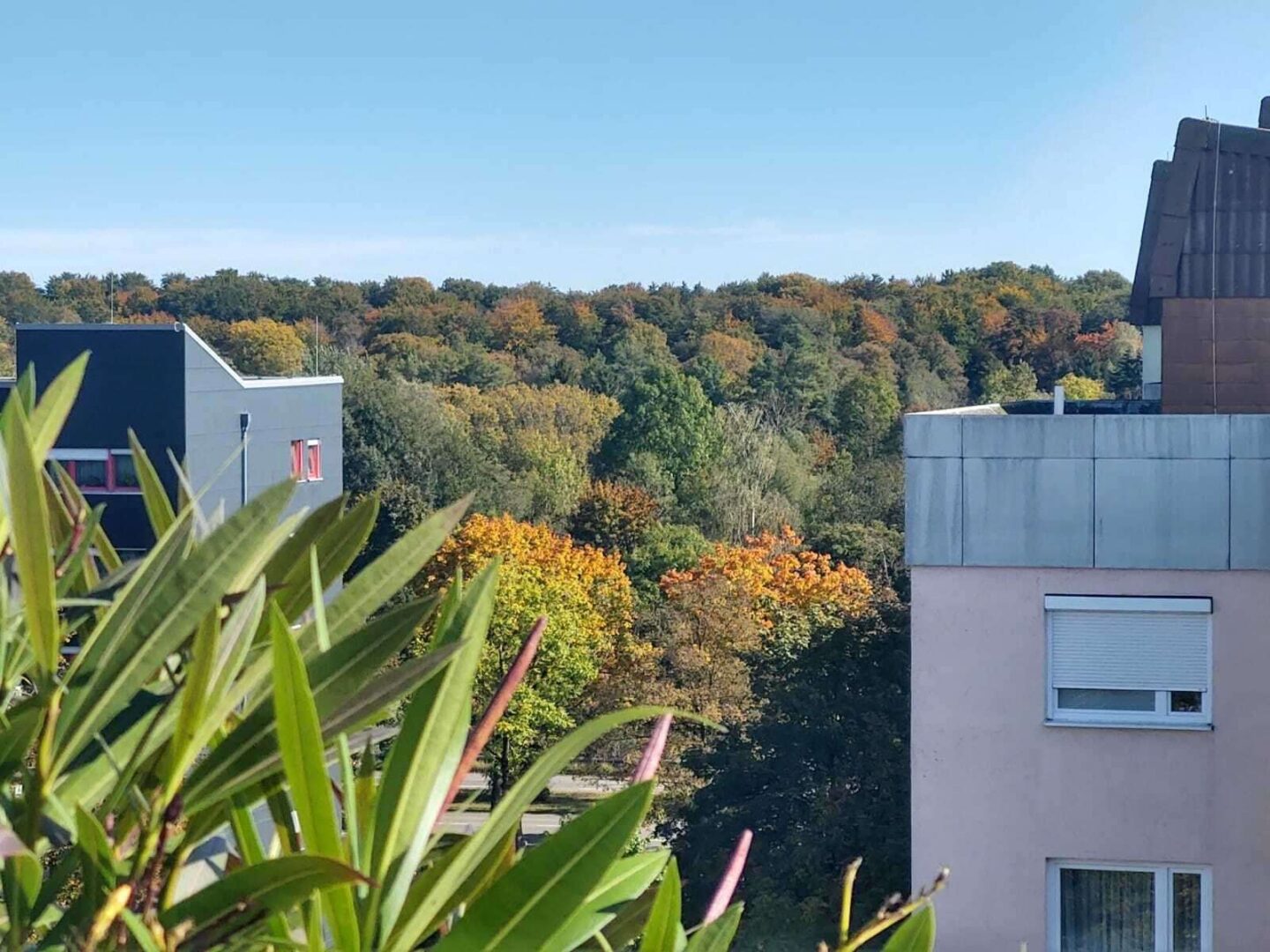 Ausblick auf den Siebentischwald