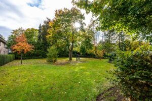 Herrlicher Gemeinschaftsgarten