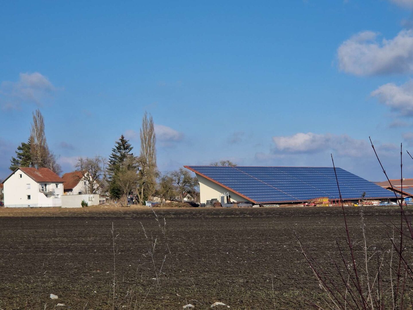 Ökologische Umgebung