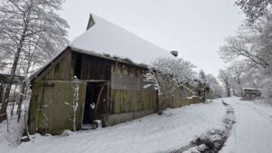 Stall mit Pferdeboxen