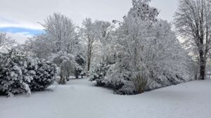 Eigener kleiner Wald