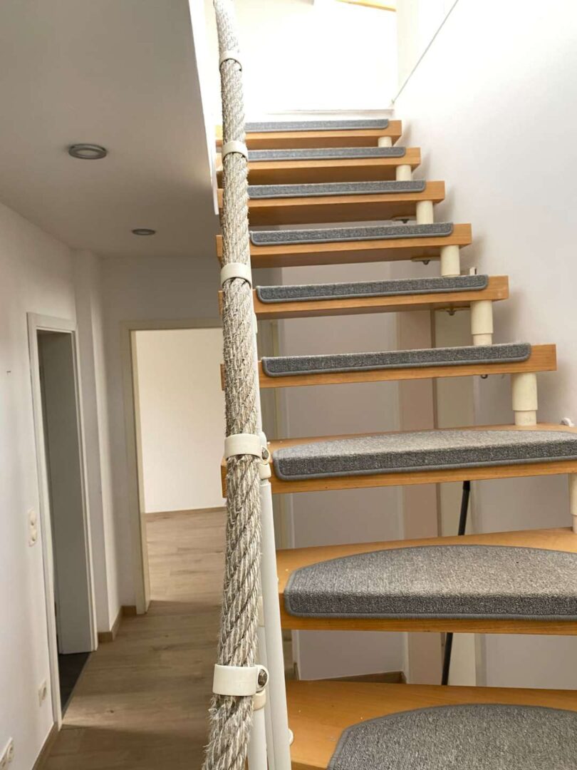 WhatsApp Image 2026-02-11 at 19.51.36 (1)