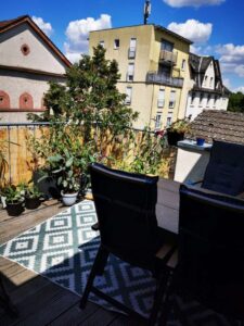 WhatsApp Image 2026-02-11 at 19.50.45 (2)