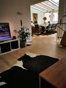 WhatsApp Image 2026-02-11 at 19.50.46 (3)