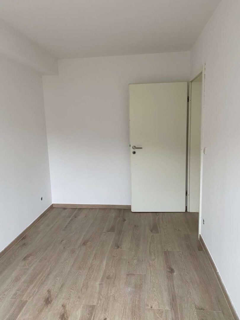 WhatsApp Image 2026-02-11 at 19.51.37