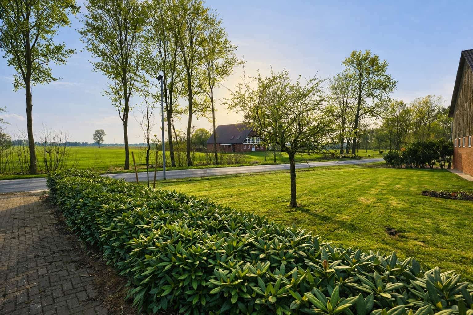 Auffahrt mit Vorgarten