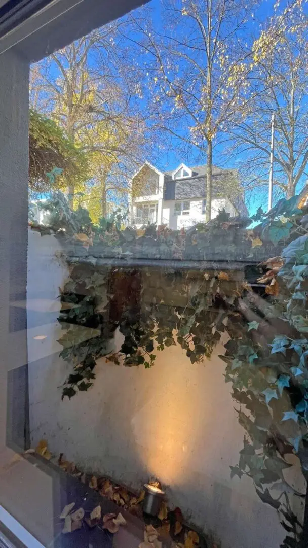 Blick aus dem Souterrain