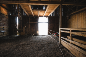 Offener Pferdestall