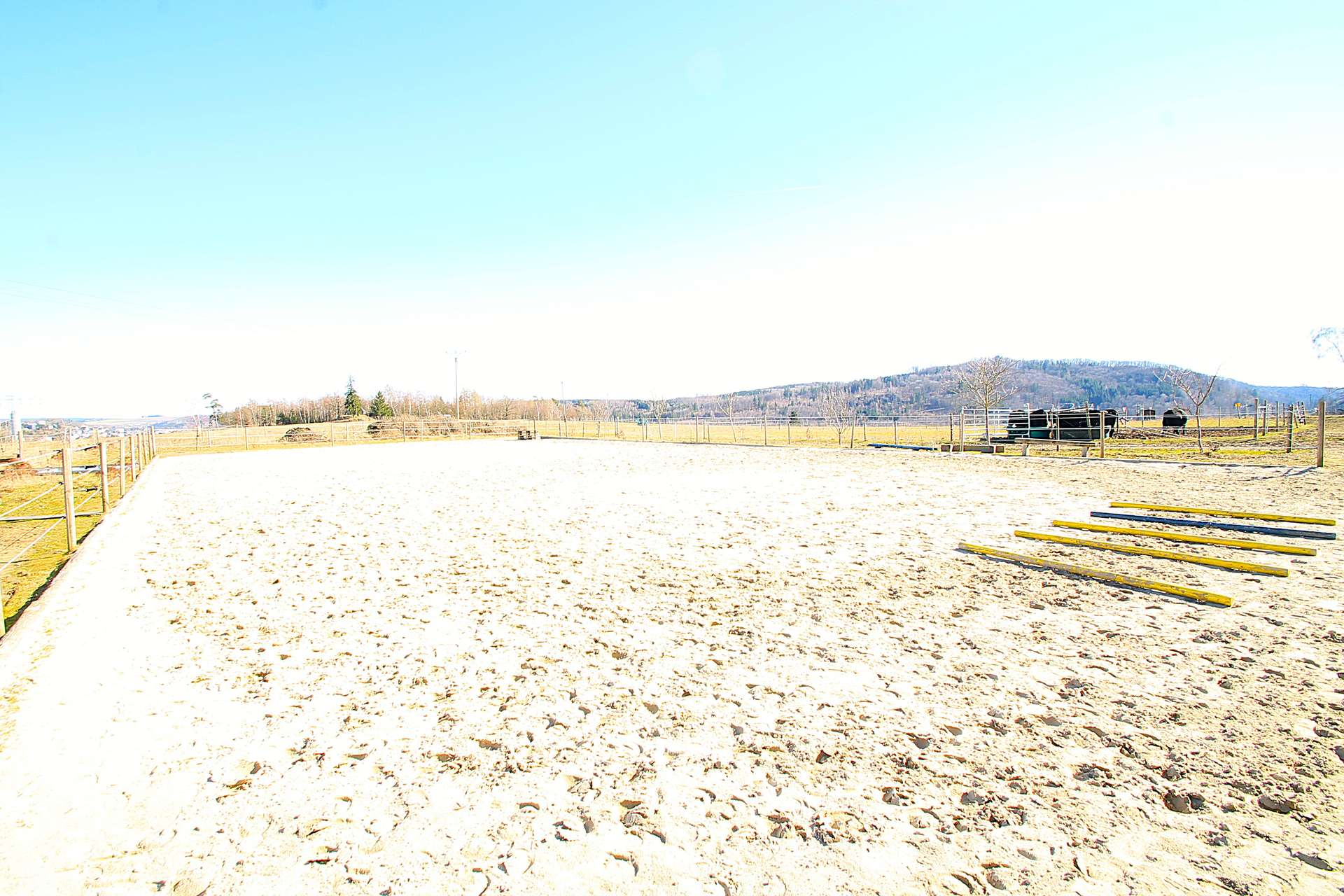 Reitplatz mit Drainage