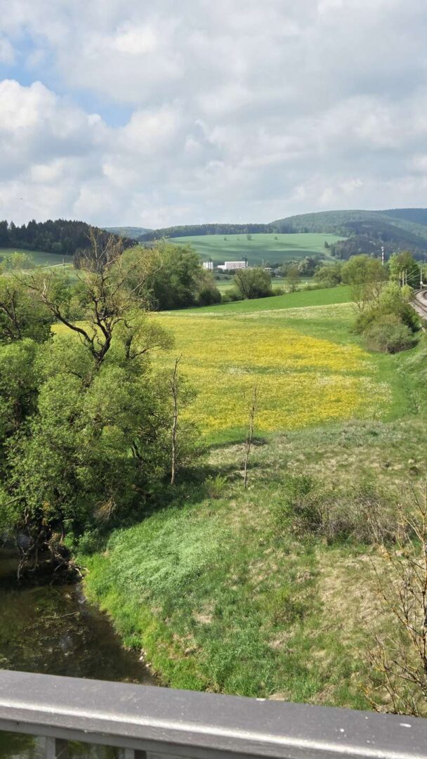 Aussicht