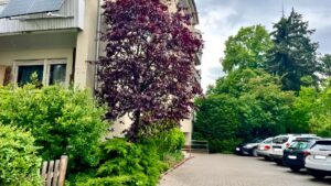 Parkplatz_Hauseingang