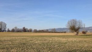 Weitblick ins Salemer Tal