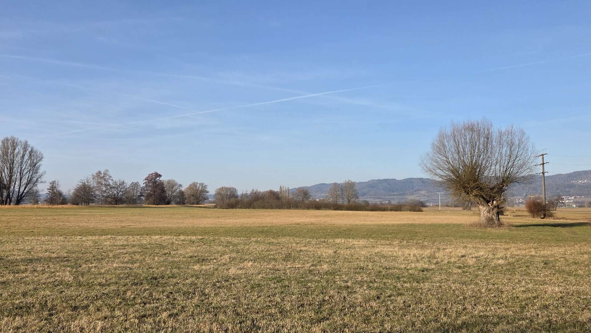 Weitblick ins Salemer Tal