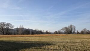 Natur pur