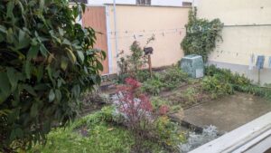 Garten2