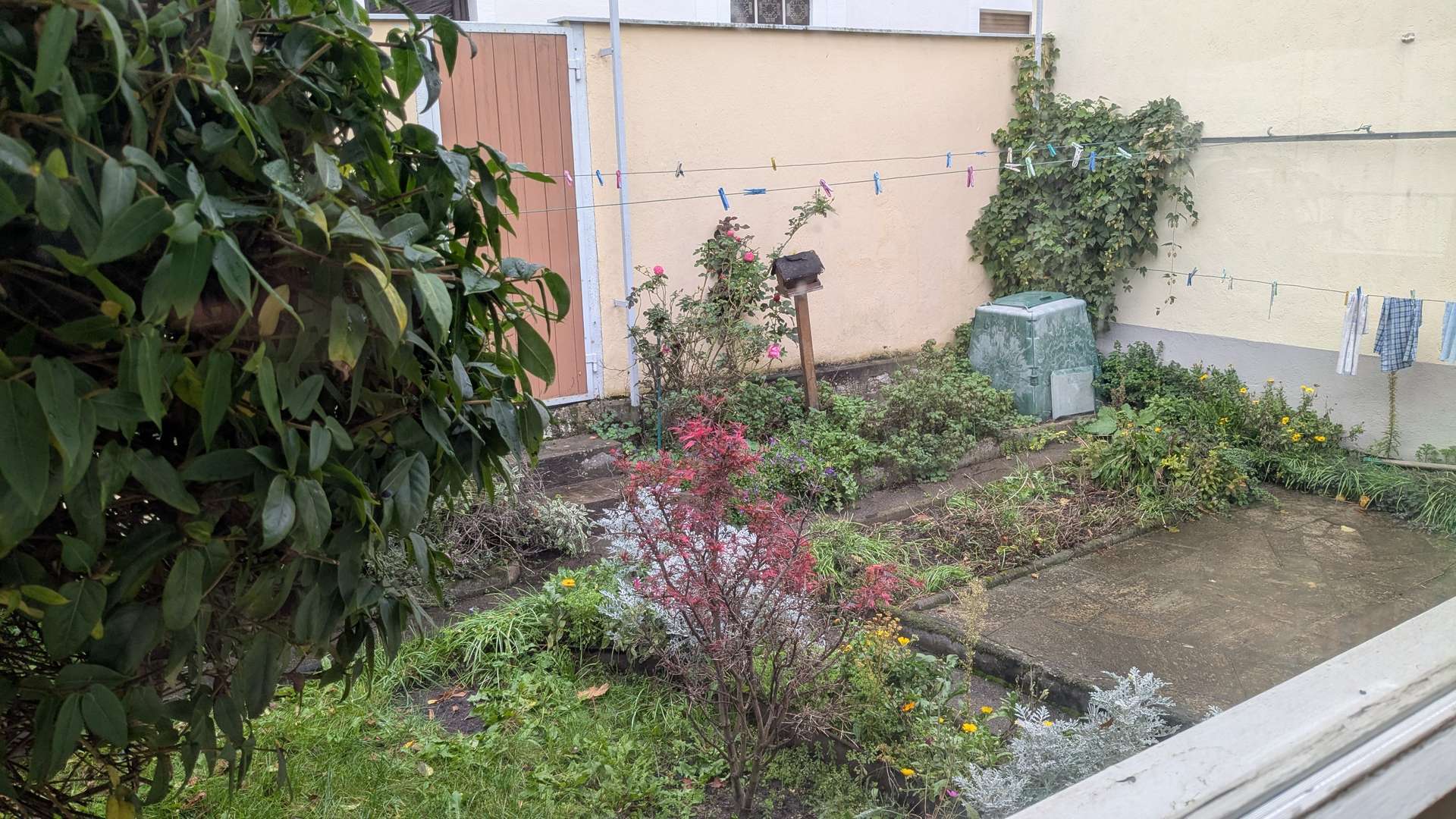 Garten2