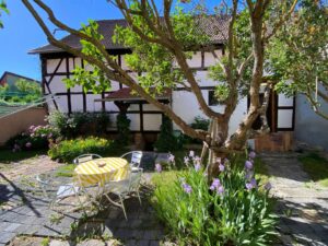 Garten