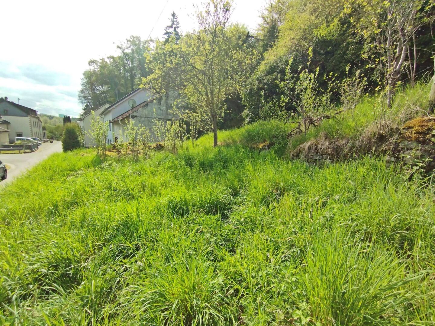 Garten 2