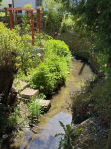 Garten