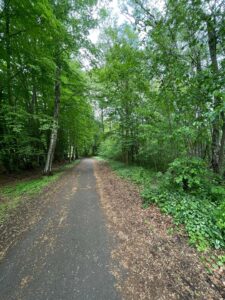 Weg zum Wald