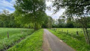 Anfahrt Wald