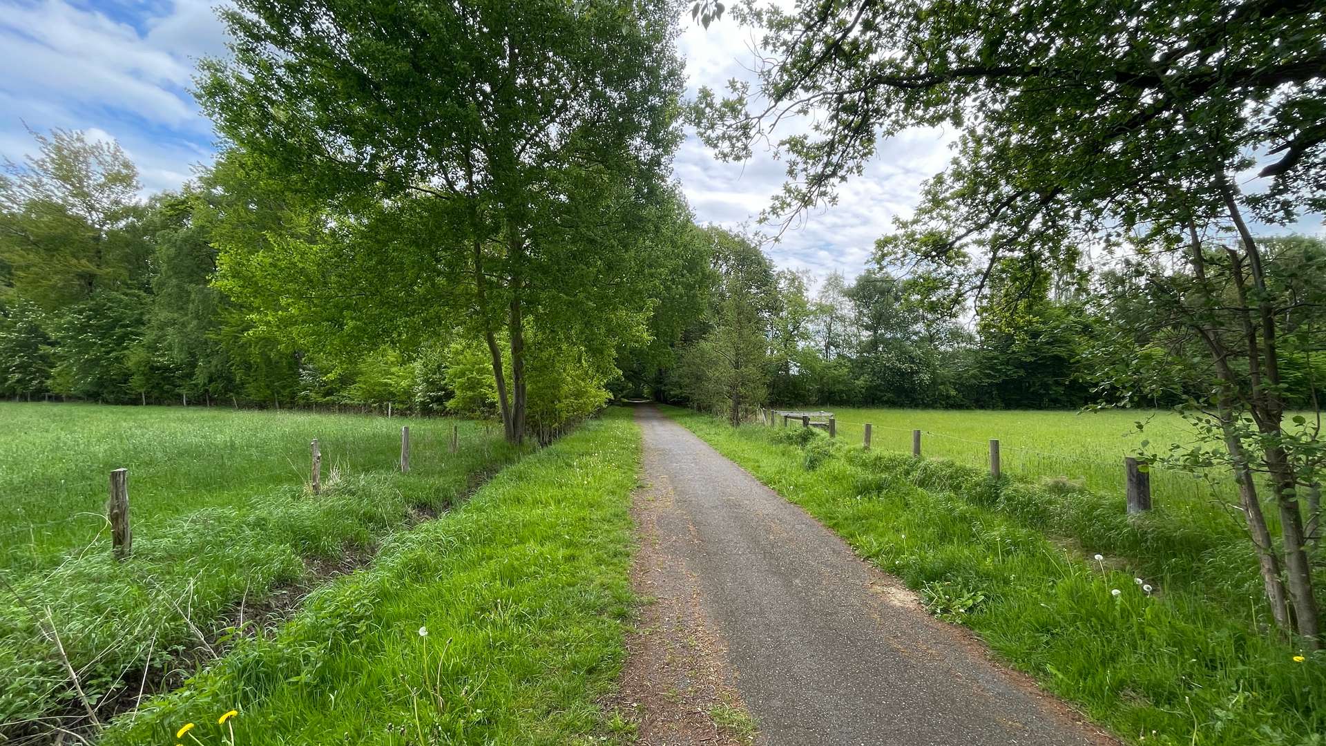 Anfahrt Wald