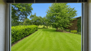 Blick auf Garten EG