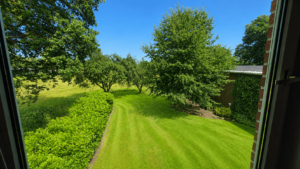 Blick auf Garten OG