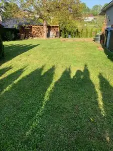 Grundstück