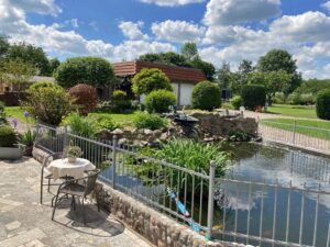 Gartenansicht mit Teich